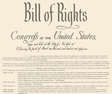La Dichiarazione dei Diritti della Costituzione degli Stati Uniti protegge le libertà basilari dei cittadini statunitensi.